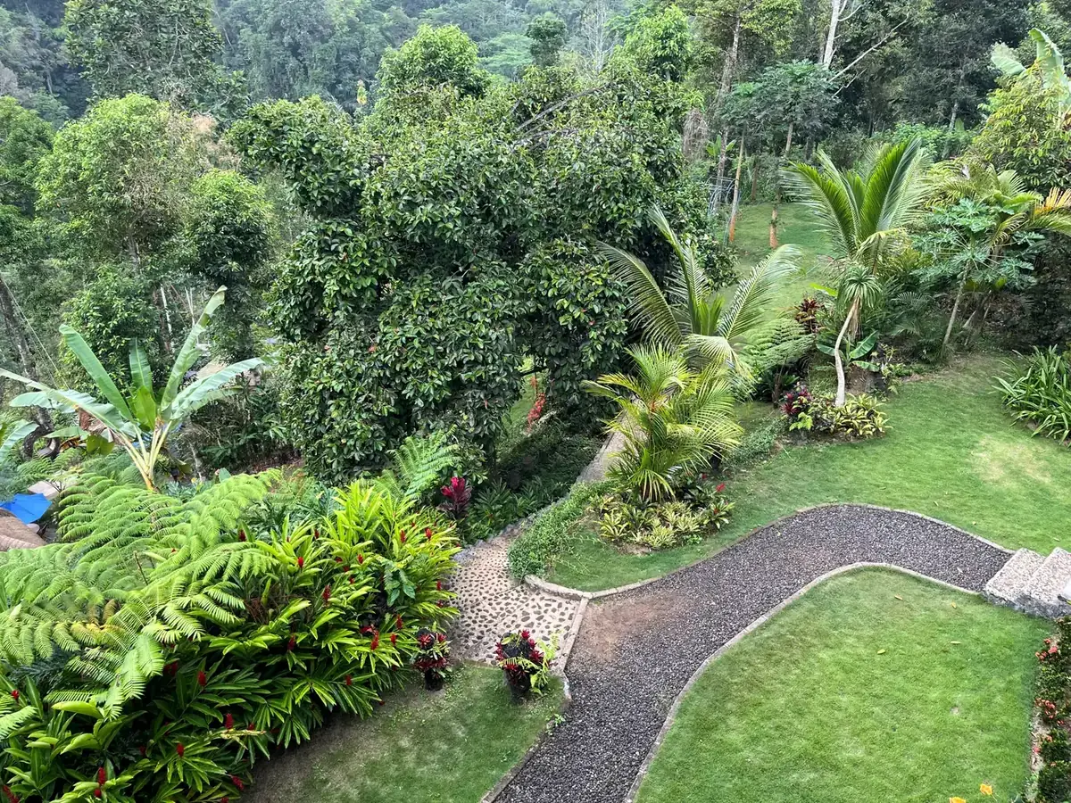 A tropical garden in Ubud, Bali