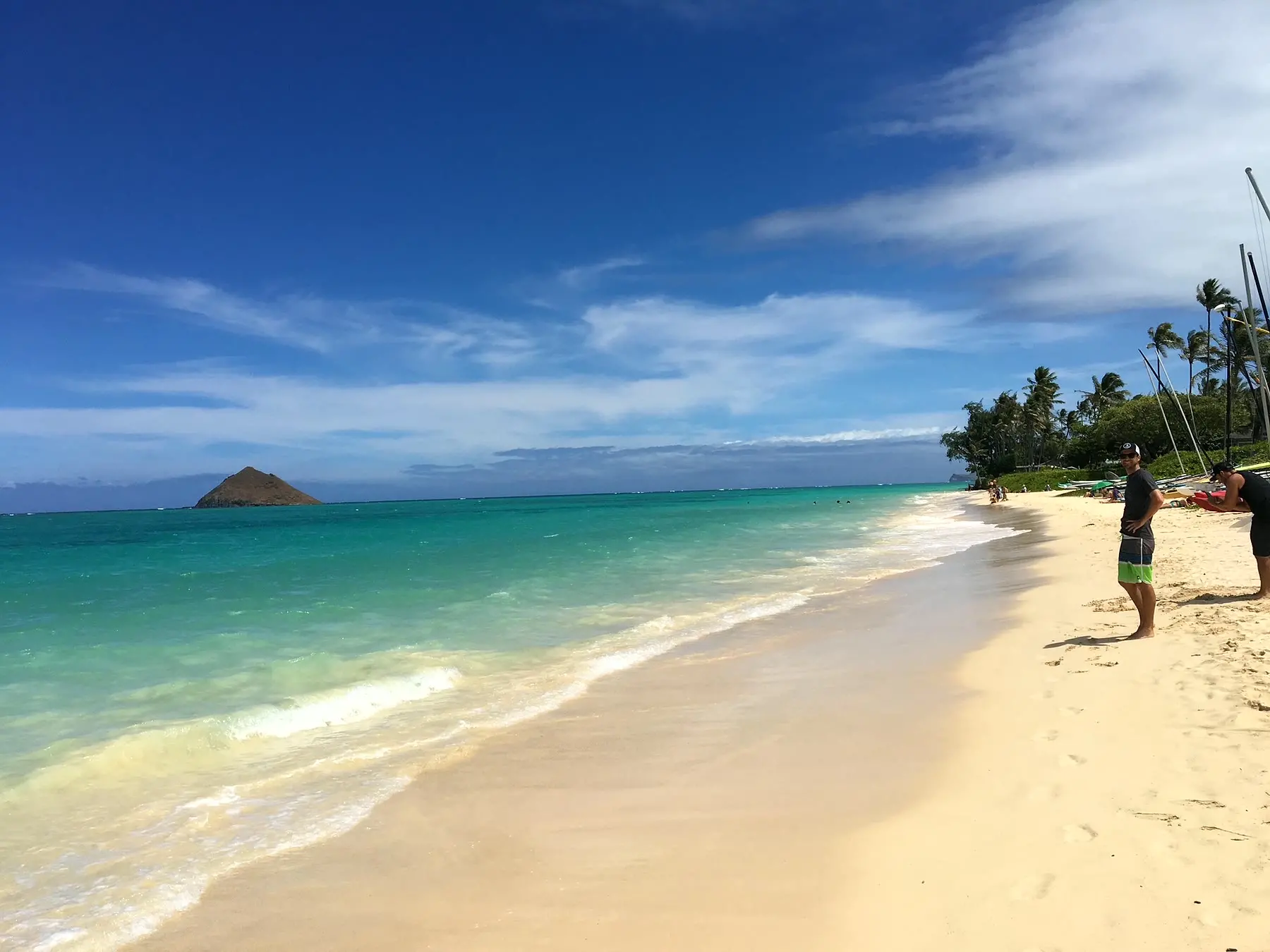 The Hawaiian ocean in winter — surf and a volcanic shoreline