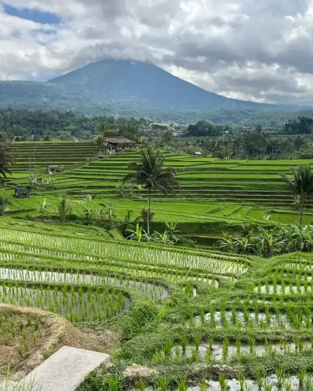 Bali